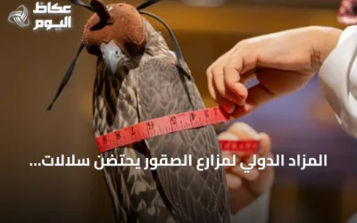 المزاد الدولي لمزارع الصقور يحتضن سلالات وخبرات إنتاجية من أربع قارات