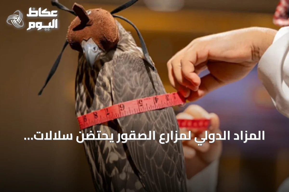 المزاد الدولي لمزارع الصقور يحتضن سلالات وخبرات إنتاجية من أربع قارات