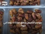 موسم الكليبين ينطلق لمدة 13 يوماً في ذروة الصيف مع نضوج التمور