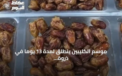 موسم الكليبين ينطلق لمدة 13 يوماً في ذروة الصيف مع نضوج التمور