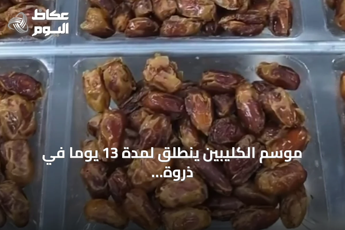 موسم الكليبين ينطلق لمدة 13 يوماً في ذروة الصيف مع نضوج التمور