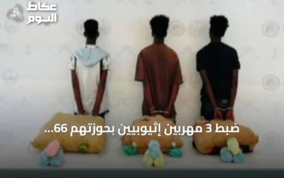 ضبط 3 مهربين إثيوبيين بحوزتهم 66 كيلوغراماً من القات في عسير