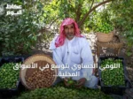 اللومي الحساوي يتوسع في الأسواق المحلية والخليجية بمنتجات مبتكرة