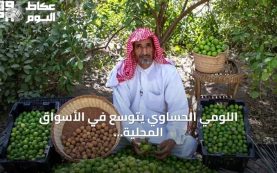 اللومي الحساوي يتوسع في الأسواق المحلية والخليجية بمنتجات مبتكرة