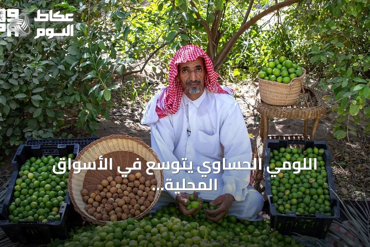 اللومي الحساوي يتوسع في الأسواق المحلية والخليجية بمنتجات مبتكرة