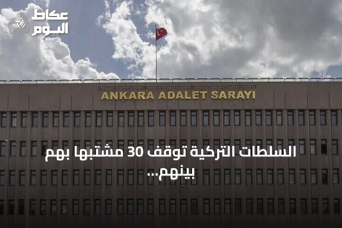 السلطات التركية توقف 30 مشتبهاً بهم بينهم زعيم منظمة إجرامية في 17 ولاية