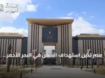 مصر تُدين استهداف السفن في البحر الأحمر وتنفي تسجيل السفينة المُهاجمة لديها