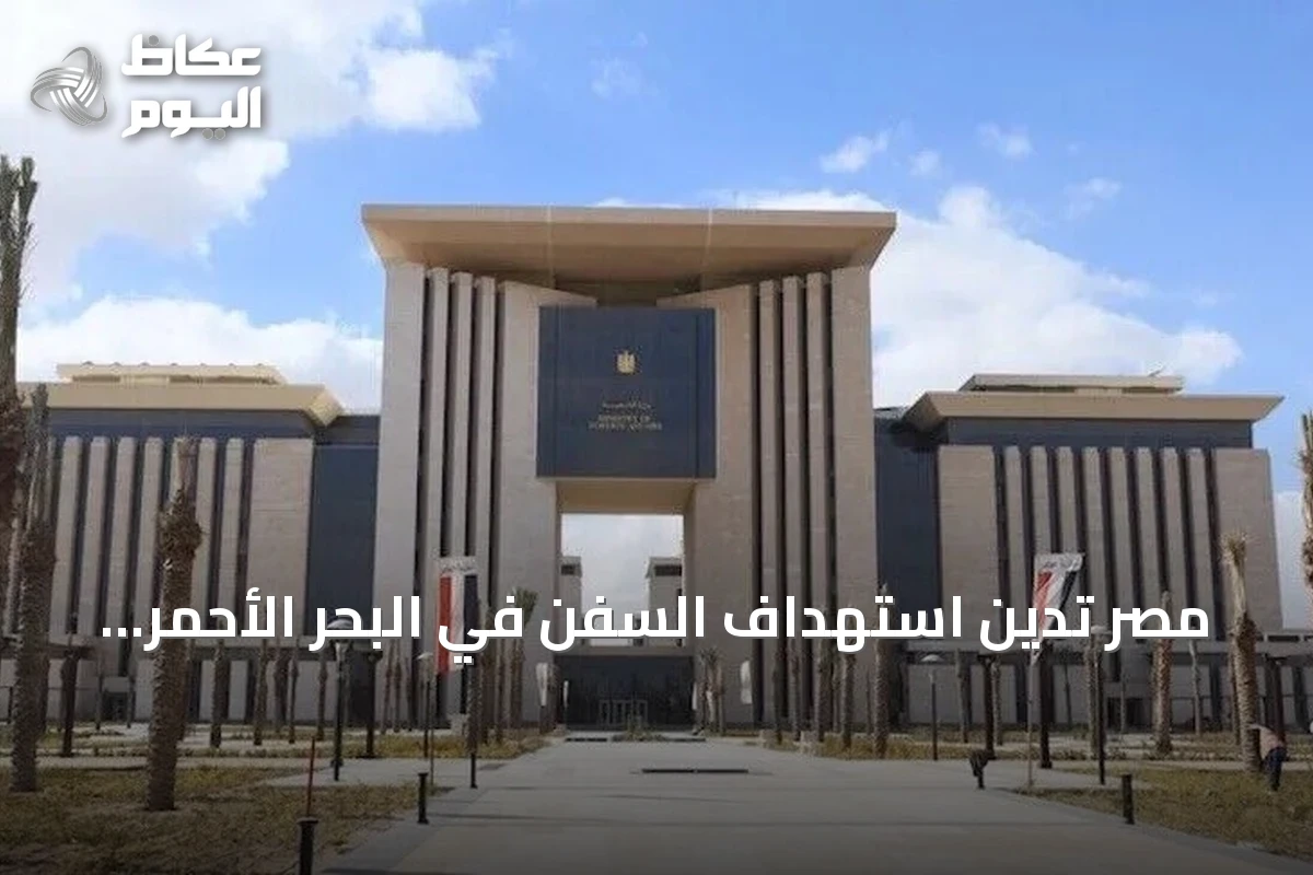 مصر تُدين استهداف السفن في البحر الأحمر وتنفي تسجيل السفينة المُهاجمة لديها