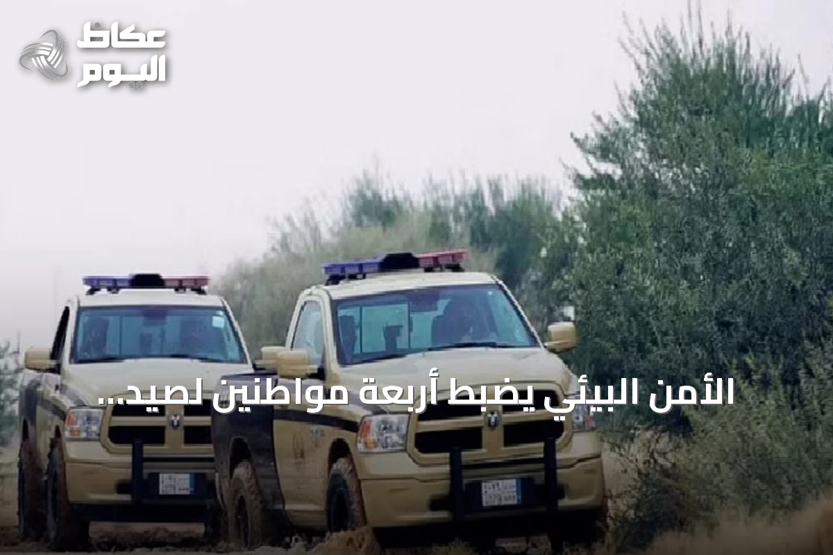 الأمن البيئي يضبط أربعة مواطنين لصيد الفطريات دون ترخيص في المدينة المنورة
