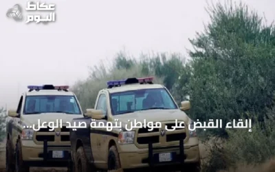إلقاء القبض على مواطن بتهمة صيد الوعل المهدد بالانقراض في أبها
