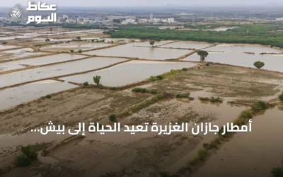 أمطار جازان الغزيرة تعيد الحياة إلى بيش وتحولها لمزار سياحي طبيعي