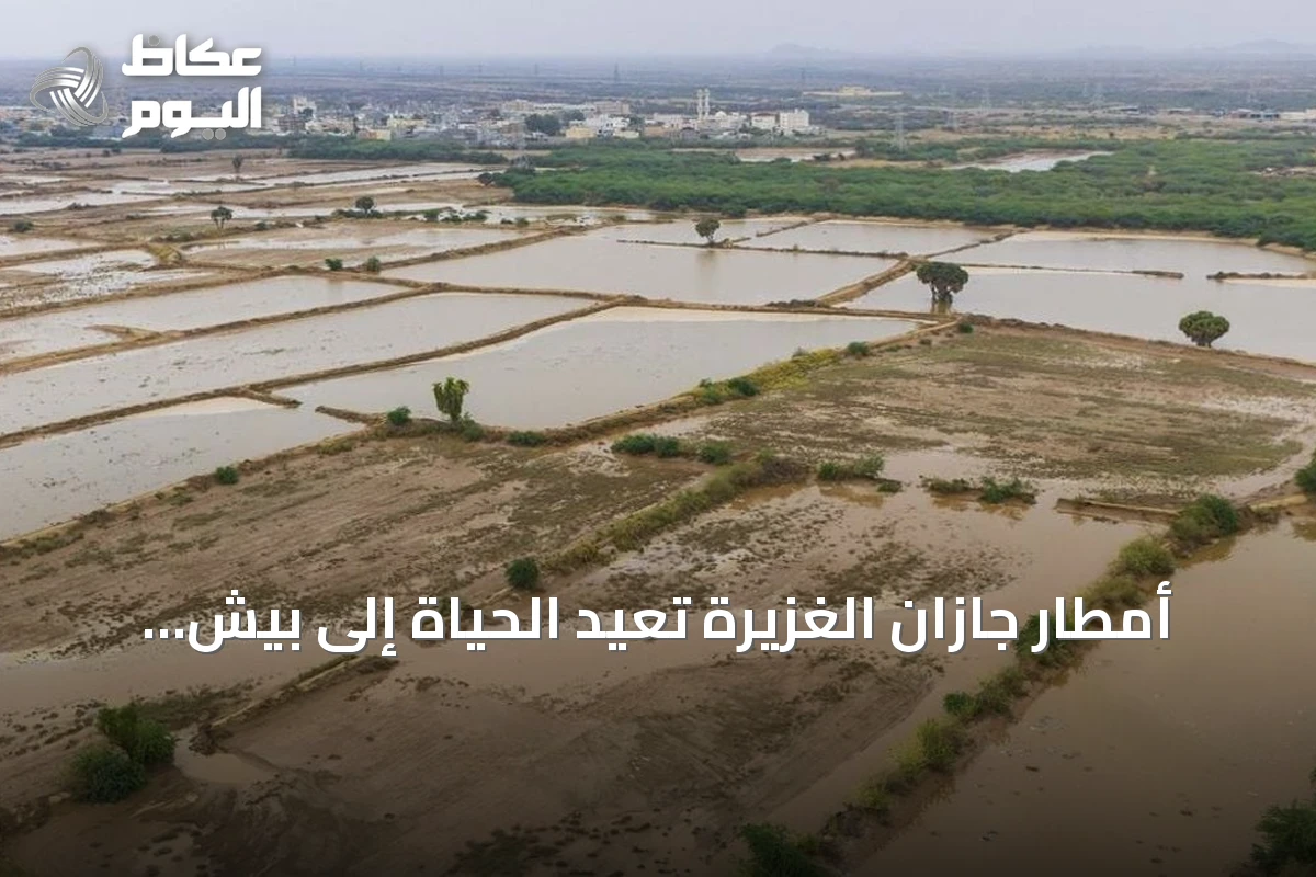 أمطار جازان الغزيرة تعيد الحياة إلى بيش وتحولها لمزار سياحي طبيعي