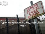 سجين بلجيكي يطلب قطع ساقيه بعد فشل هروبه عبر سقف سجن لانتن