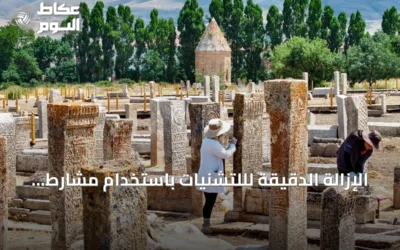 الإزالة الدقيقة لللتشنيات باستخدام مشارط جراحية تكشف نقوش شواهد سلجوقية في شرق تركيا