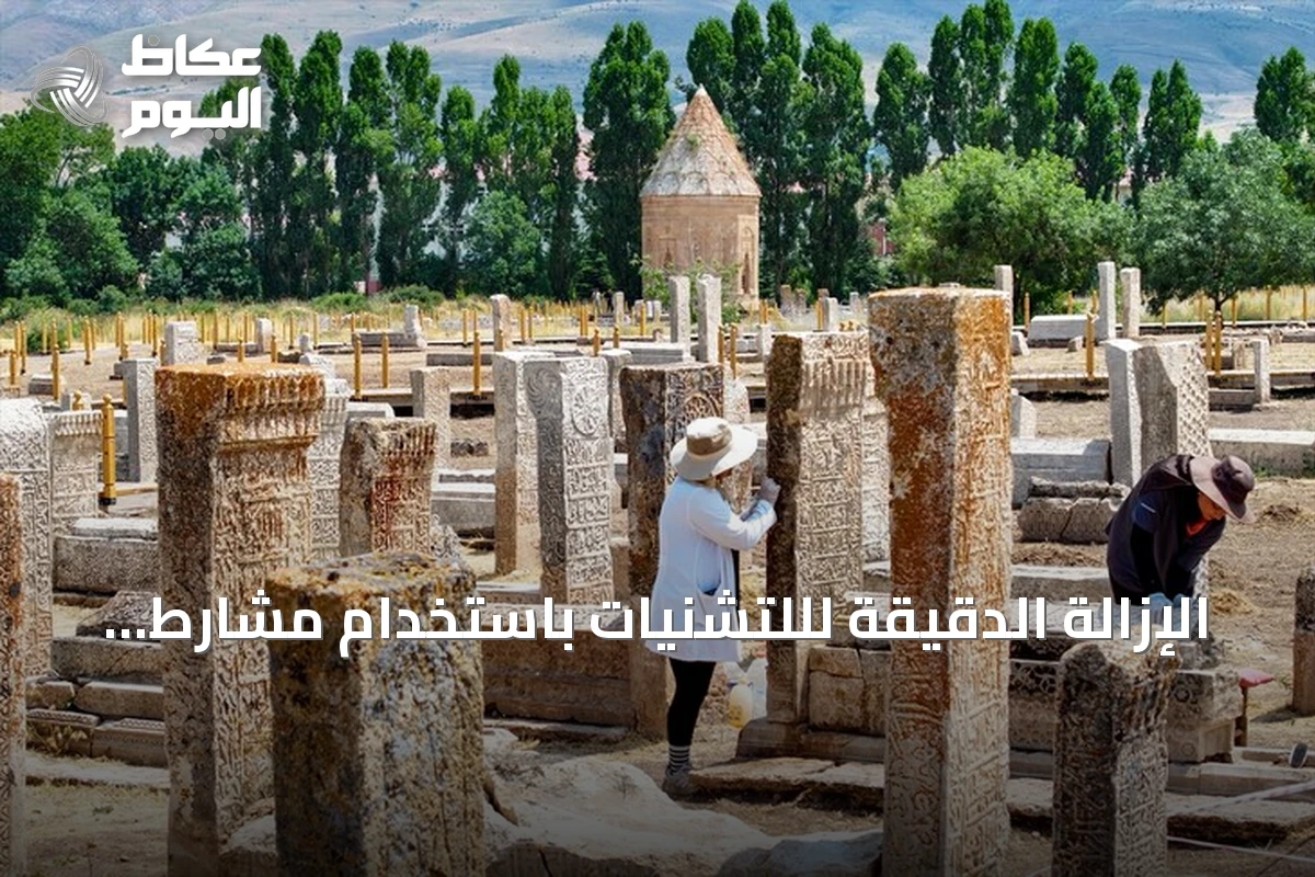 الإزالة الدقيقة لللتشنيات باستخدام مشارط جراحية تكشف نقوش شواهد سلجوقية في شرق تركيا