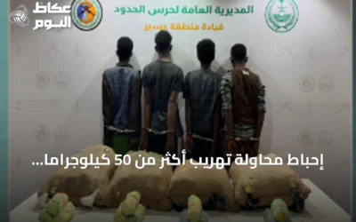 إحباط محاولة تهريب أكثر من 50 كيلوجرامًا من القات في عسير
