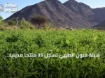 هيئة فنون الطهي تسجل 35 منتجًا مدينيًا ضمن مبادرة سفينة التذوق العالمية
