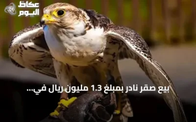 بيع صقر نادر بمبلغ 1.3 مليون ريال في المزاد الدولي لمزارع إنتاج الصقور 2026