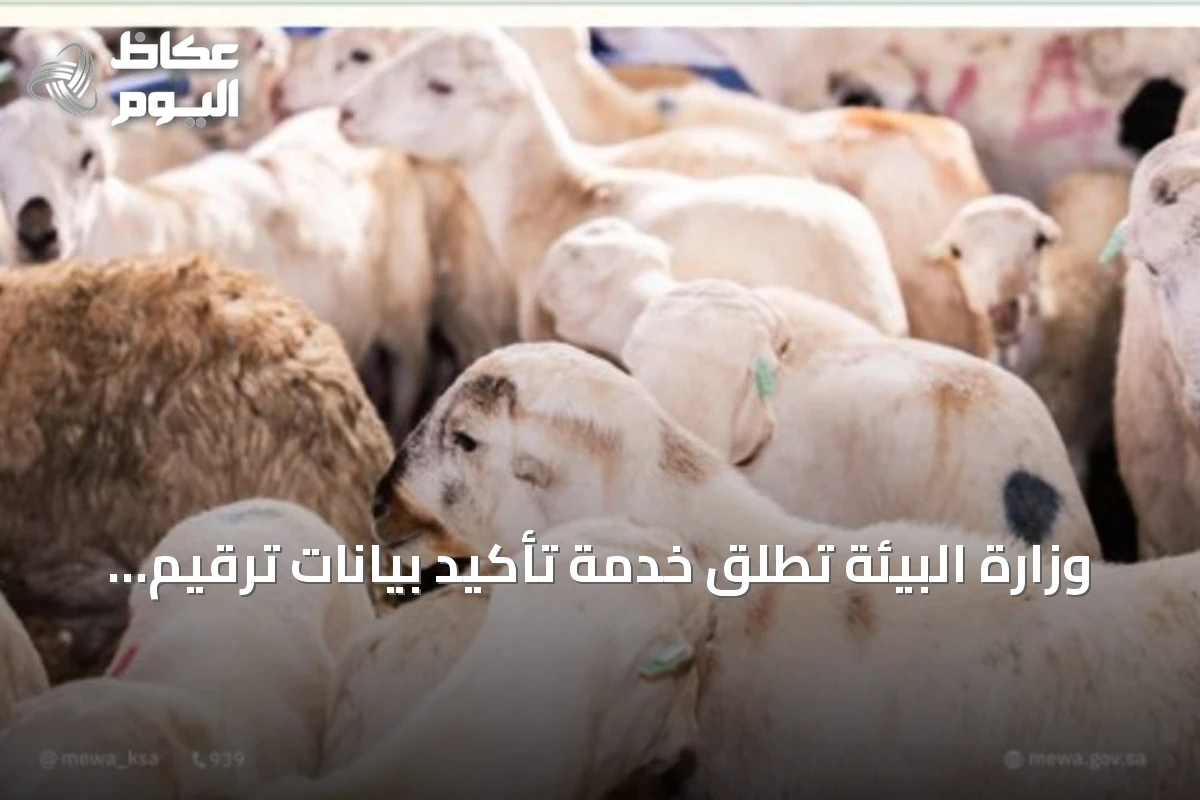 وزارة البيئة تطلق خدمة تأكيد بيانات ترقيم المواشي