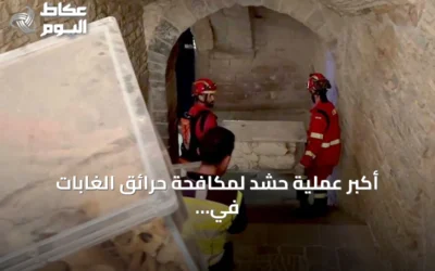 أكبر عملية حشد لمكافحة حرائق الغابات في أراغون لحماية ديرَي سان خوان دي لا بينيا