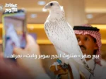 بيع صقر «مثلوث الجير سوبر وايت» بمزاد 2026 بسعر 1.3 مليون ريال