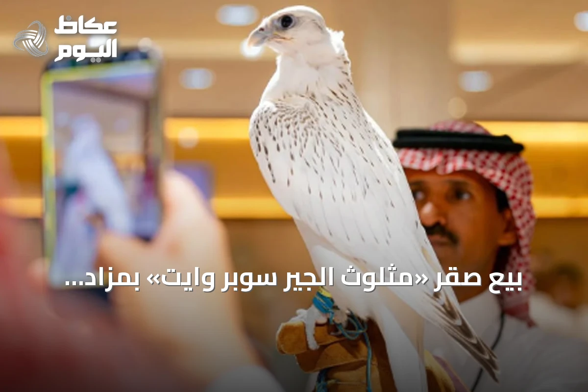 بيع صقر «مثلوث الجير سوبر وايت» بمزاد 2026 بسعر 1.3 مليون ريال