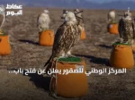 المركز الوطني للصقور يعلن عن فتح باب المشاركة المجتمعية للإطلاق الدولي لبرنامج «هدد» 2027