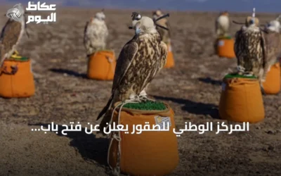 المركز الوطني للصقور يعلن عن فتح باب المشاركة المجتمعية للإطلاق الدولي لبرنامج «هدد» 2027