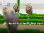 المركز الوطني لتنمية الحياة الفطرية يطلق خدمات بيطرية متكاملة للصقور في المزاد الدولي 2026