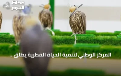 المركز الوطني لتنمية الحياة الفطرية يطلق خدمات بيطرية متكاملة للصقور في المزاد الدولي 2026