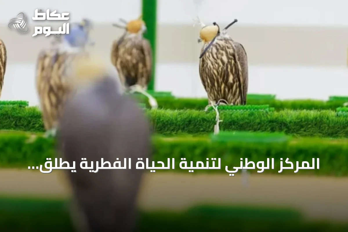 المركز الوطني لتنمية الحياة الفطرية يطلق خدمات بيطرية متكاملة للصقور في المزاد الدولي 2026