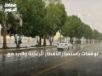 توقعات باستمرار الأمطار الرعدية والبرد مع رياح نشطة على عدة مناطق سعودية