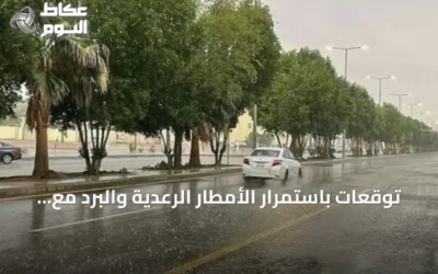 توقعات باستمرار الأمطار الرعدية والبرد مع رياح نشطة على عدة مناطق سعودية