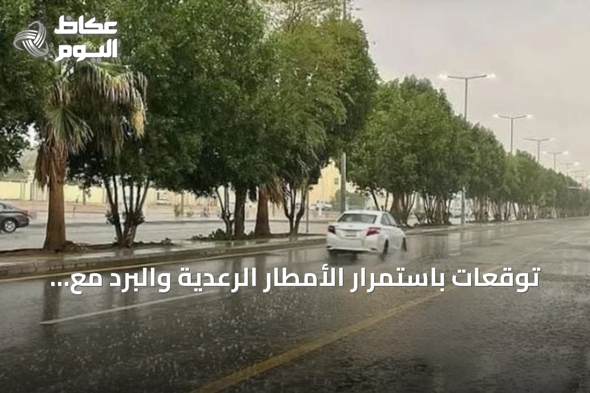 توقعات باستمرار الأمطار الرعدية والبرد مع رياح نشطة على عدة مناطق سعودية