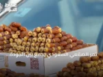 تمر الصقعي السعودي يجمع بين الجودة العالية والقيمة الغذائية والموروث الزراعي