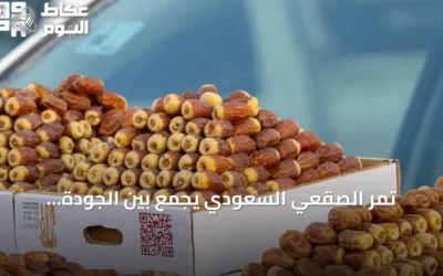 تمر الصقعي السعودي يجمع بين الجودة العالية والقيمة الغذائية والموروث الزراعي