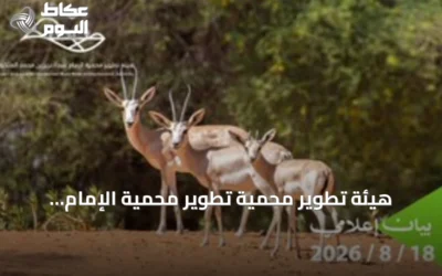 هيئة تطوير محمية تطوير محمية الإمام عبدالعزيز تؤكد منع الصيد في محميتين ملكيتين