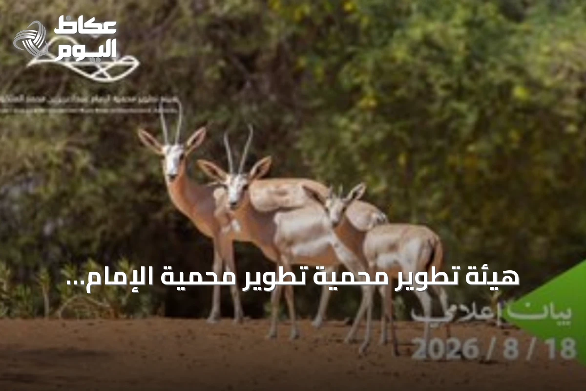هيئة تطوير محمية تطوير محمية الإمام عبدالعزيز تؤكد منع الصيد في محميتين ملكيتين