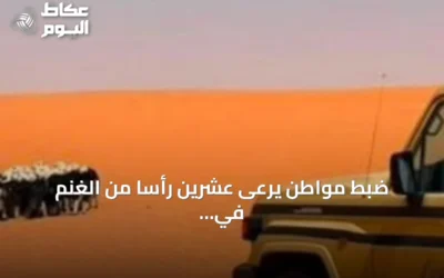 ضبط مواطن يرعى عشرين رأساً من الغنم في مناطق محظورة بمحمية الإمام تركي بن Abdullah