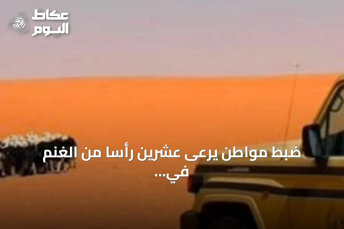 ضبط مواطن يرعى عشرين رأساً من الغنم في مناطق محظورة بمحمية الإمام تركي بن Abdullah