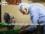 بيع ستة صقور خلال الليلة الثامنة من مزاد الصقور الدولي 2026