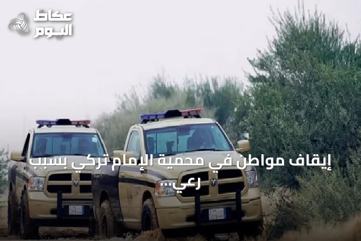 إيقاف مواطن في محمية الإمام تركي بسبب رعي إبل في مناطق محظورة