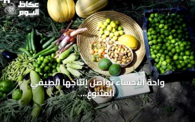واحة الأحساء تواصل إنتاجها الصيفي المتنوع رغم ارتفاع الحرارة