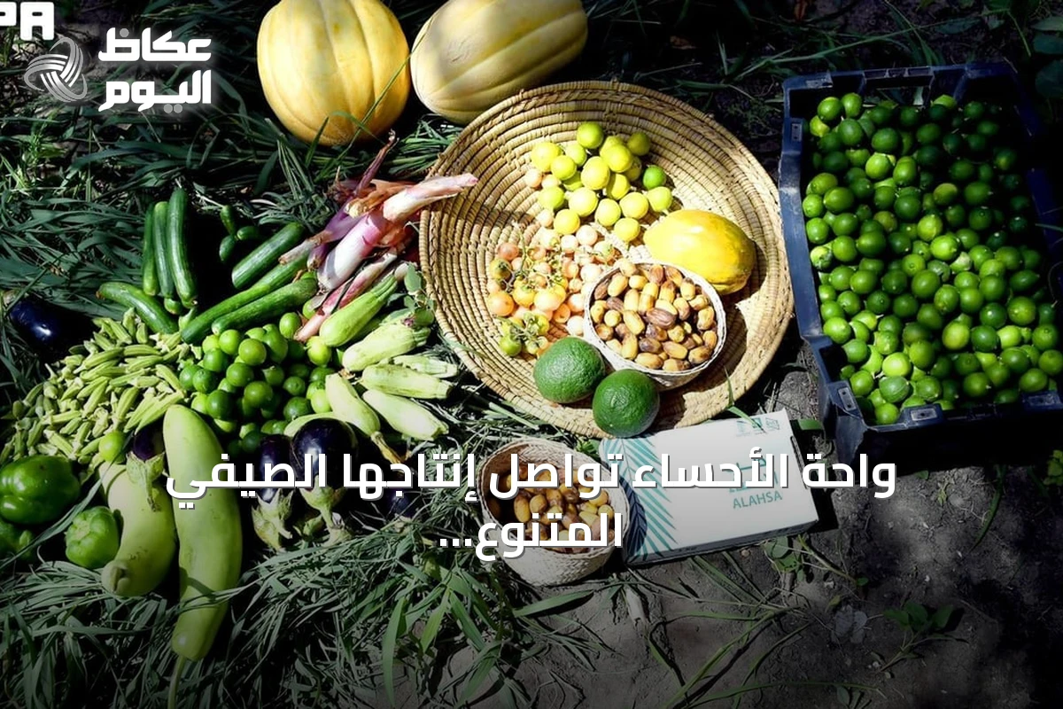 واحة الأحساء تواصل إنتاجها الصيفي المتنوع رغم ارتفاع الحرارة