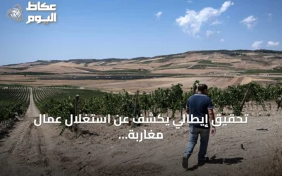 تحقيق إيطالي يكشف عن استغلال عمال مغاربة في حقول صقلية بساعات عمل طويلة وأجور زهيدة