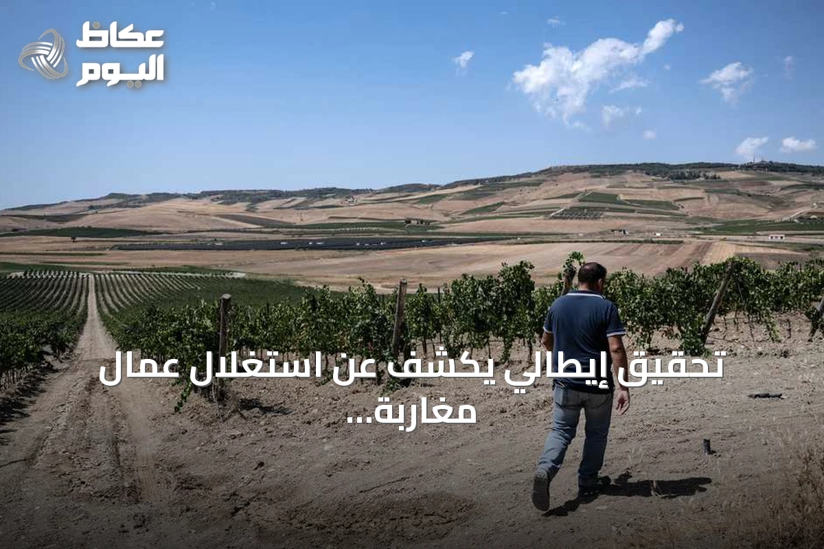 تحقيق إيطالي يكشف عن استغلال عمال مغاربة في حقول صقلية بساعات عمل طويلة وأجور زهيدة