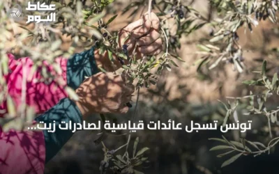 تونس تسجل عائدات قياسية لصادرات زيت الزيتون بقيمة 1.57 مليار دولار خلال تسعة أشهر