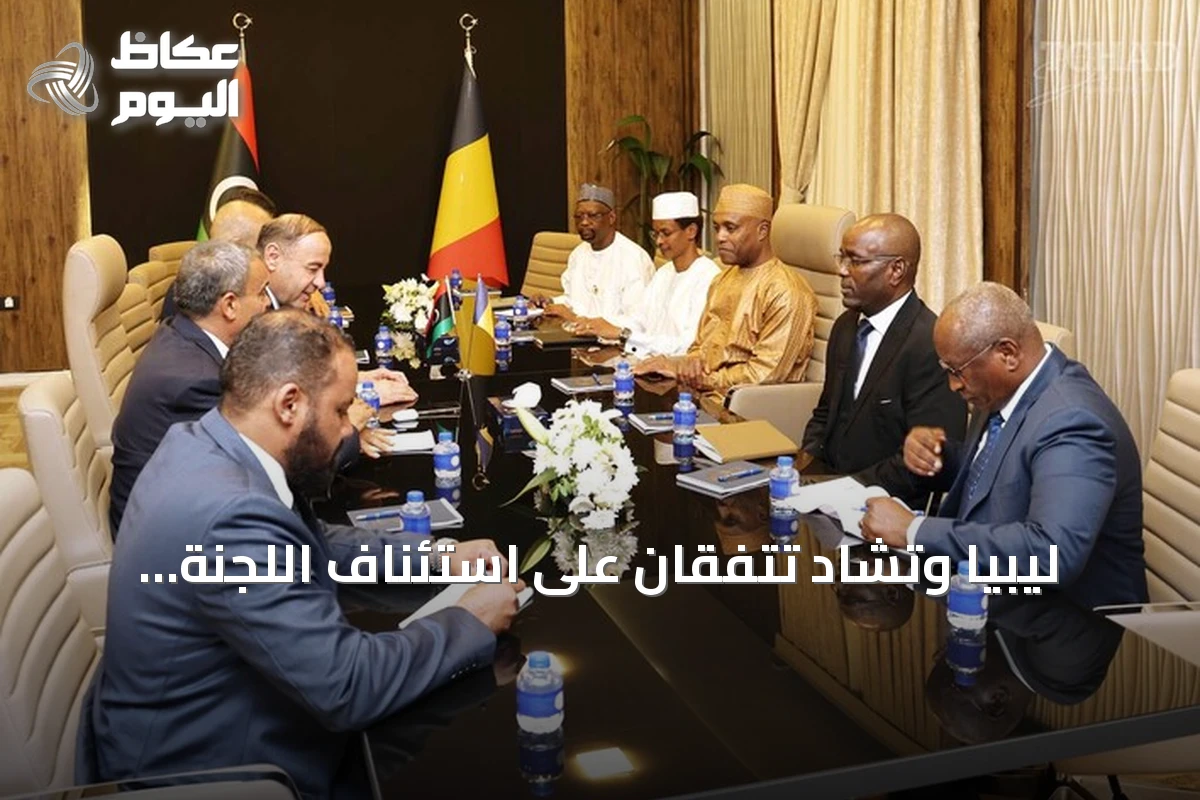 ليبيا وتشاد تتفقان على استئناف اللجنة العليا المشتركة بعد توقف دام 17 عاماً