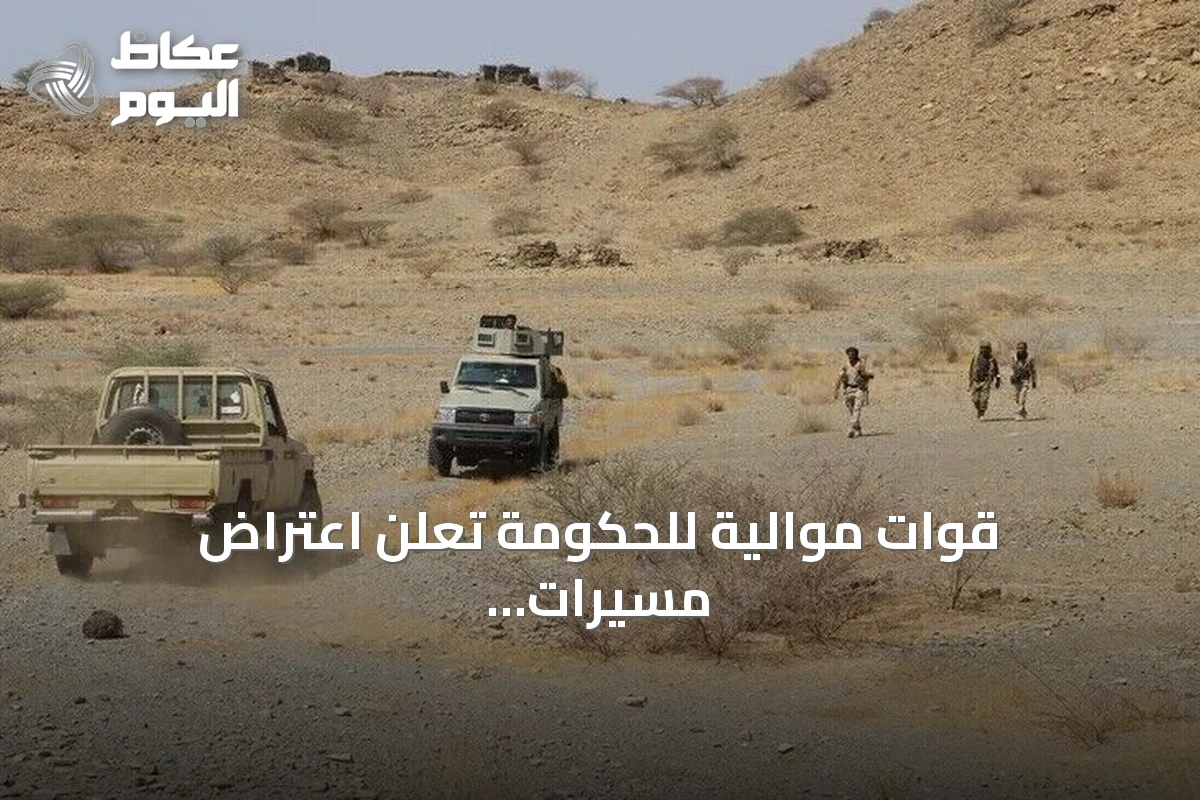قوات موالية للحكومة تعلن اعتراض مسيرات حوثية غربي عدن