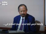 وثيقة أديس أبابا تحدد مسار السلام في السودان بعيدا عن السلاح